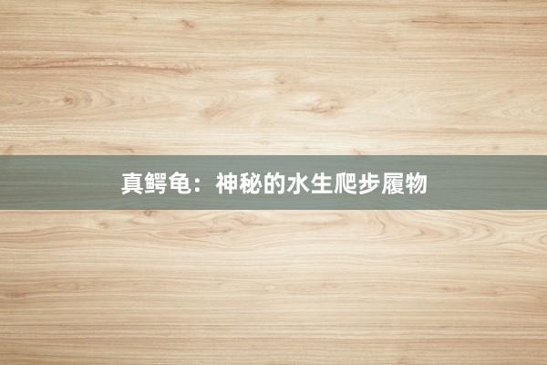真鳄龟：神秘的水生爬步履物