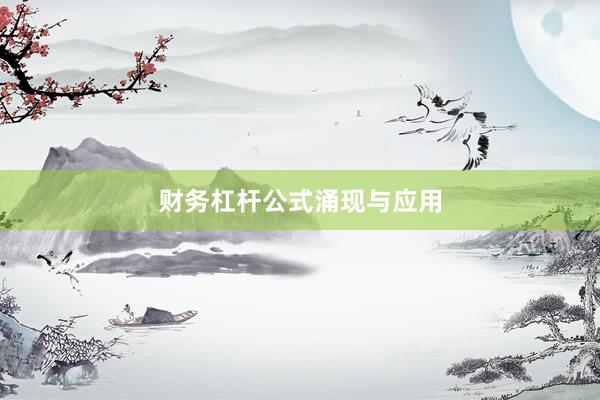 财务杠杆公式涌现与应用