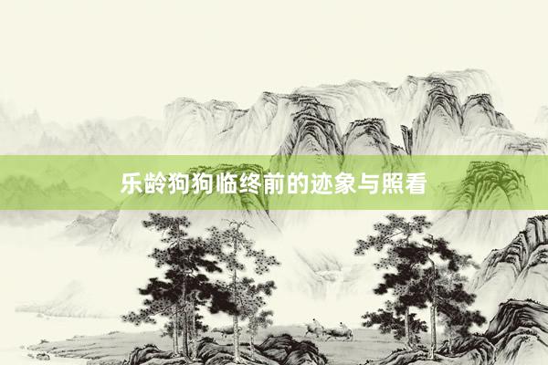 乐龄狗狗临终前的迹象与照看