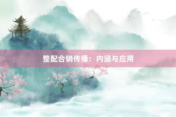整配合销传播：内涵与应用