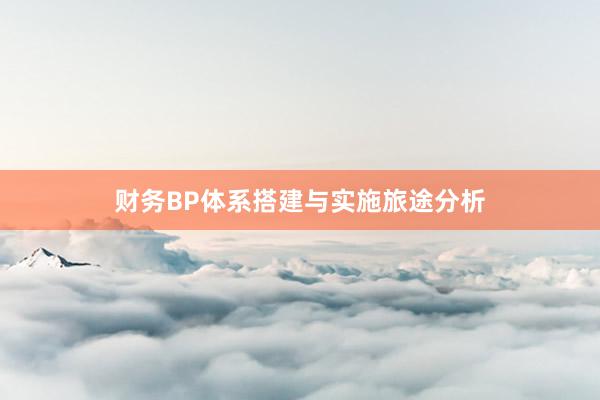 财务BP体系搭建与实施旅途分析